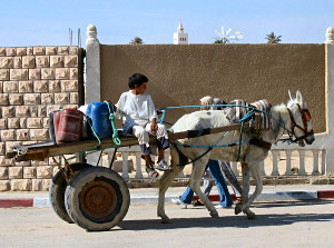 Wstentauglich - mit dem Gelndewagen durch die Wste - Foto029 - Auch mit Allrad!