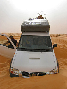 Wstentauglich - Sahara Dnen, Oasen und Sand - Foto049 - ...................- in jeglicher Hinsicht,